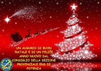 Auguri 2015